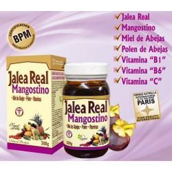 Jalea Real Mangostino x 300 GR-Natural Freshly-Dopavita Salud y Nutrición