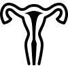 Sistema Reproductivo y Urinario